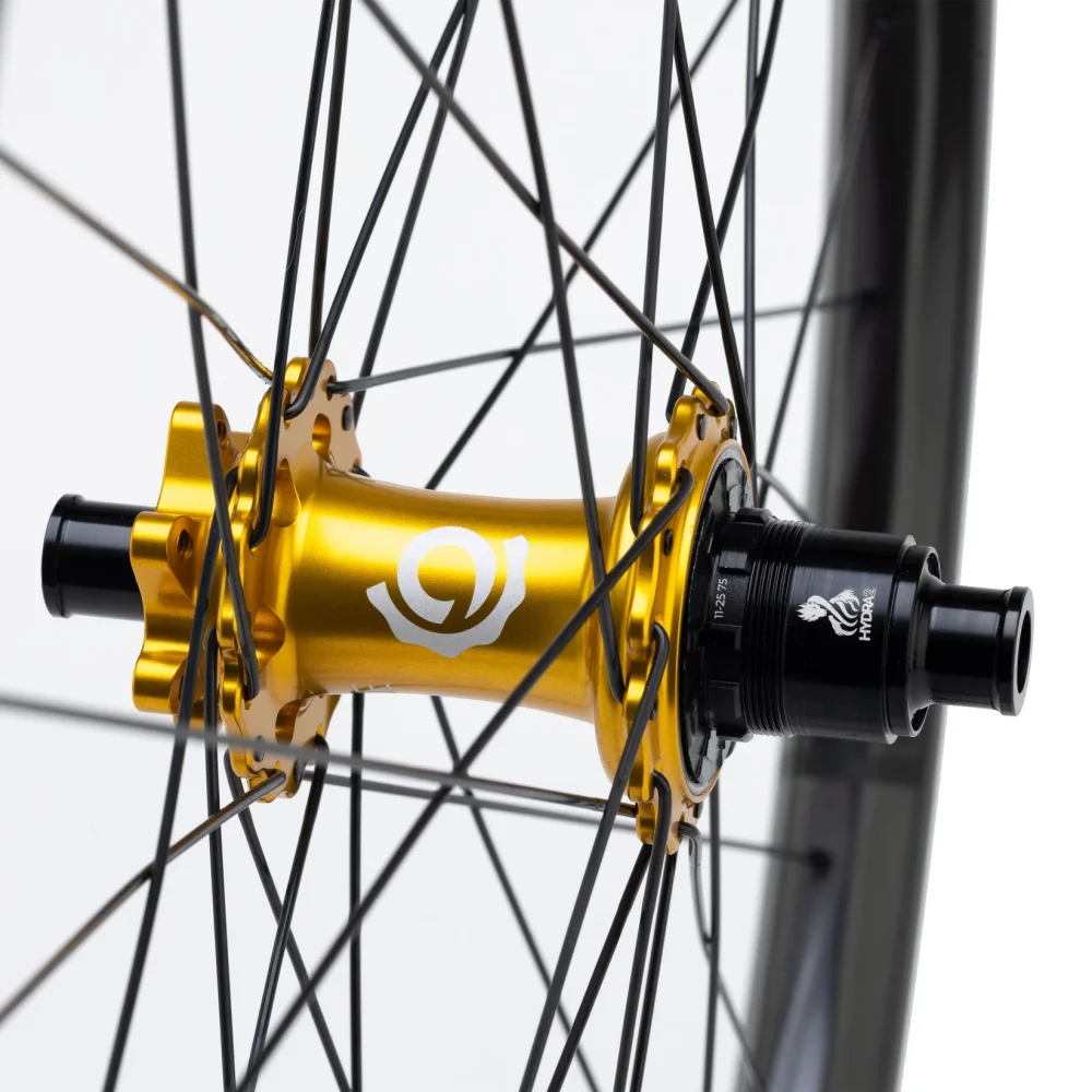 Detail Wanderer Carbon
