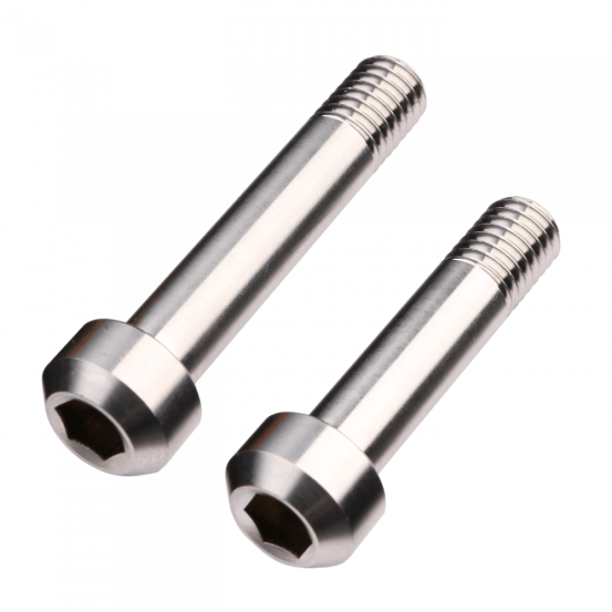 Santa Cruz Titanium Shock Bolts