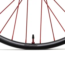 Coup Carbon Hydra2