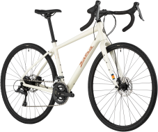 Salsa Journeyer Claris 700c 2022