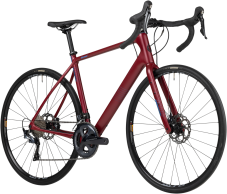 Salsa Warroad C Ultegra