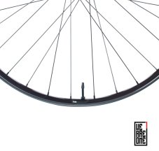 Fuse Carbon 1/1