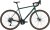 Surly Straggler — Subtropic Algae