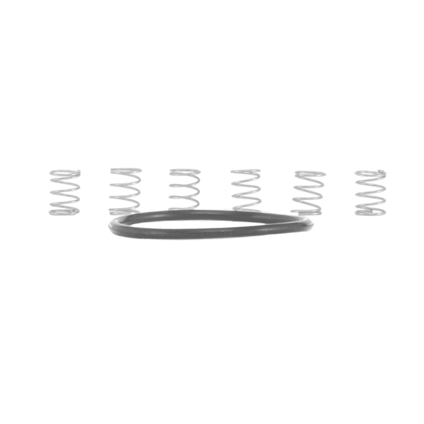 TORCH - MTN - Pawl Spring Kit