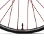 Coup Carbon Hydra2