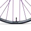Deal Carbon Hydra2