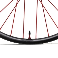 Coup Carbon Hydra2