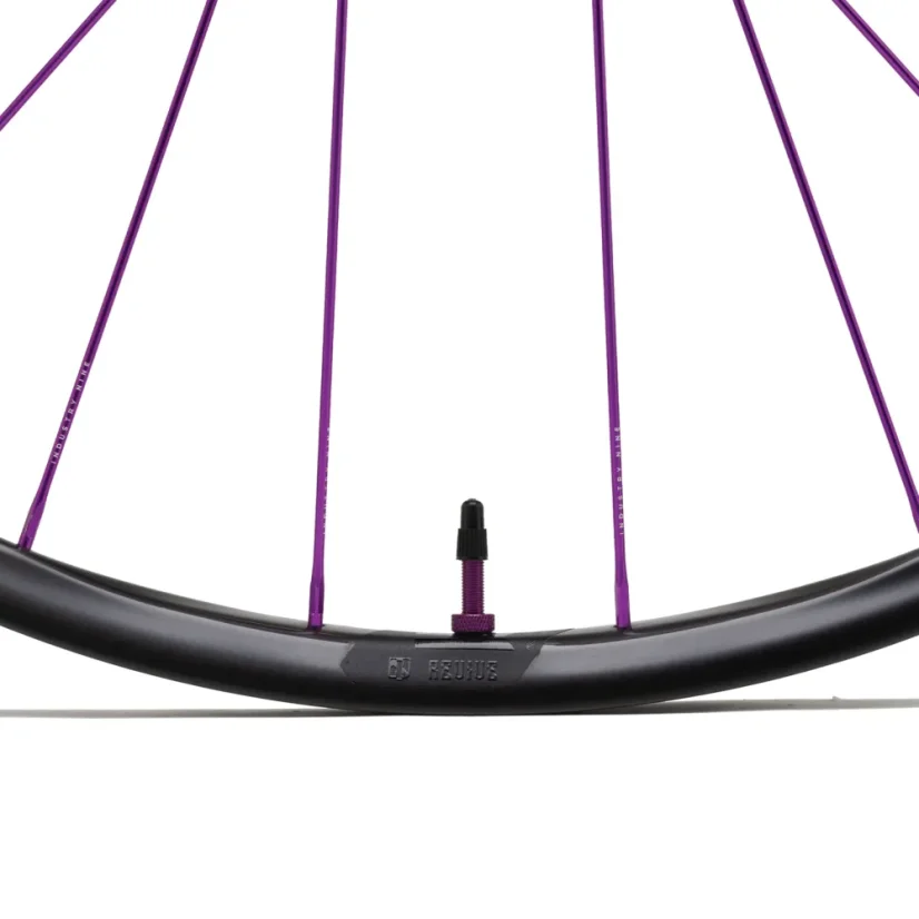 Ráfek Revive Carbon