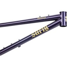 Surly Sorceress — frameset, Elderberry Tonic