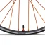 Fuse Carbon HYDRA2