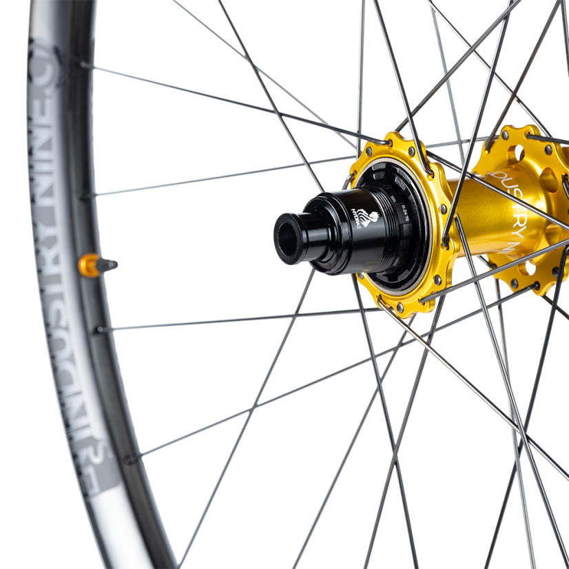 Hydra2 Enduro S Carbon - Colour hubs: Black