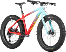 Salsa Beargrease C X01 Eagle 2022