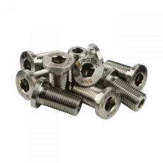 EVIL FLIP CHIP + BONE LINK TITANIUM BOLT KIT